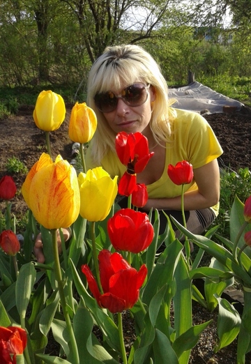 Ma photo - elena, 45 de Vychni Volotchek (@elena98593)