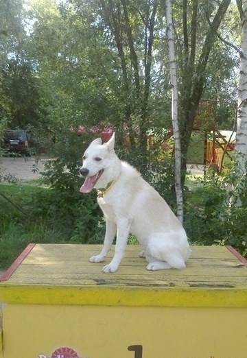 Aleksey (@spurlosxen1a) — my photo № 41