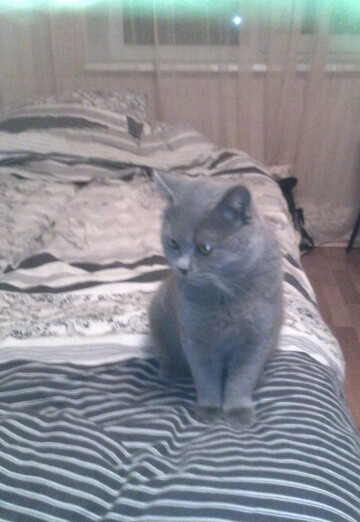 ALEKSANDR (@aleksandr60830) — my photo № 5