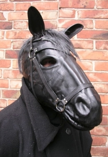 конь в пальто (@sicam) — моя фотографія № 13