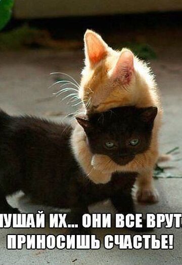 Viktor (@viktor89606) — my photo № 24