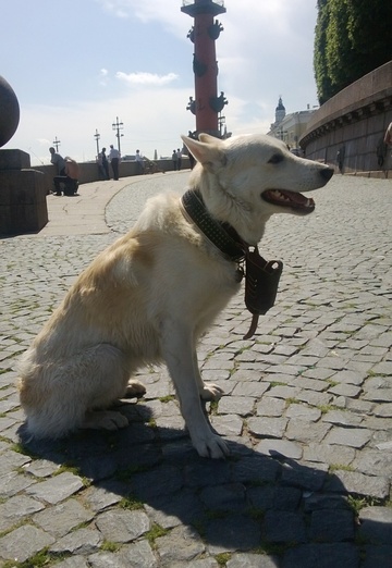 Aleksey (@spurlosxen1a) — my photo № 29