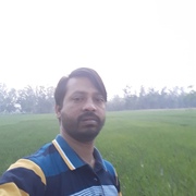 rana 41 Dhaka