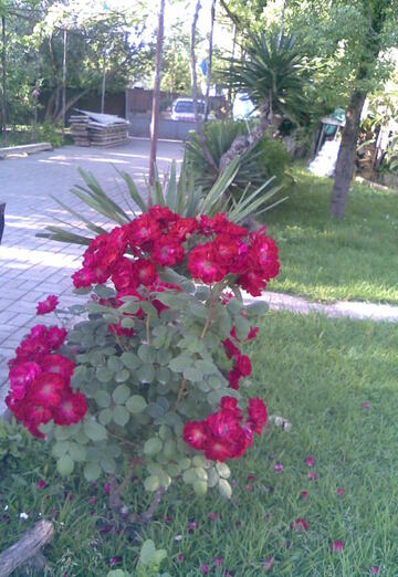 Yeduard (@edik5350622) — my photo № 43