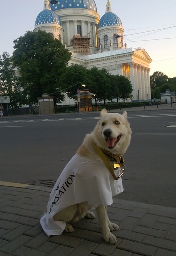 Aleksey (@spurlosxen1a) — my photo № 28