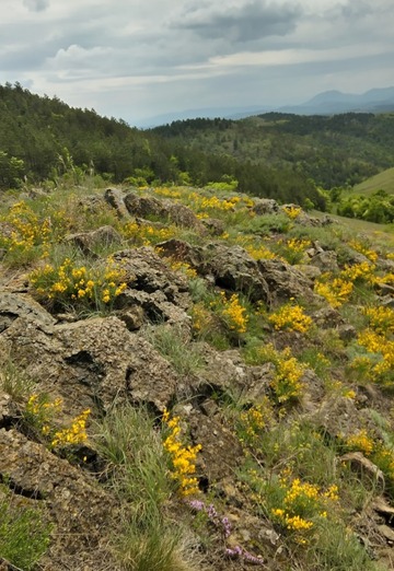 Aleksandar (@aleksandar1583) — my photo № 2