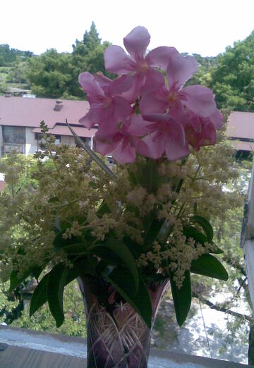 Yeduard (@edik5350622) — my photo № 44