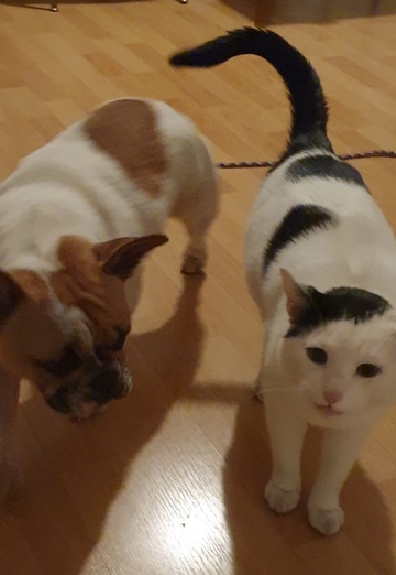 Angel (@angel13630) — my photo № 5