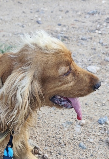 Joel Raj (@joelraj1002) — my photo № 8