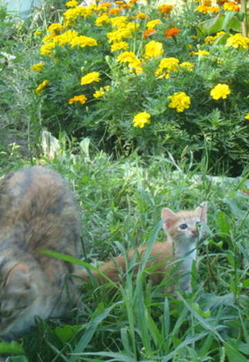 Irina (@irinaterleeva) — my photo № 9