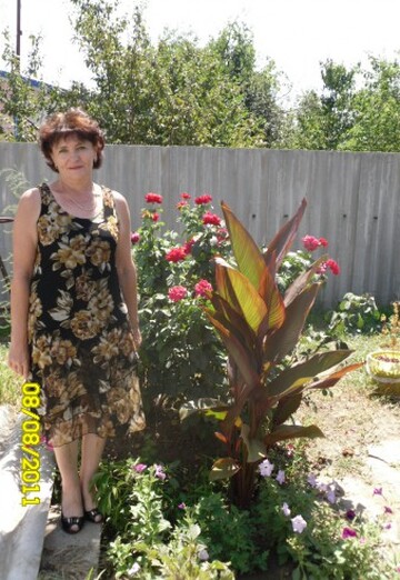 Ma photo - Valentina, 65 de Svetlograd (@valentina3675671)