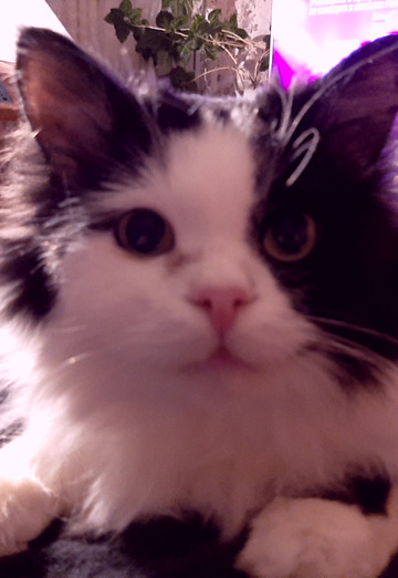 Aleksey (@aleksey518100) — my photo № 5