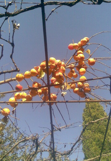 Yeduard (@edik5350622) — my photo № 38