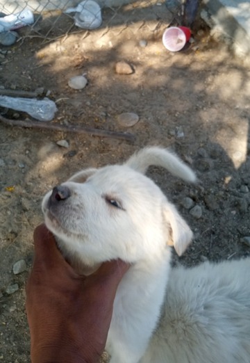 Beto (@beto179) — my photo № 2